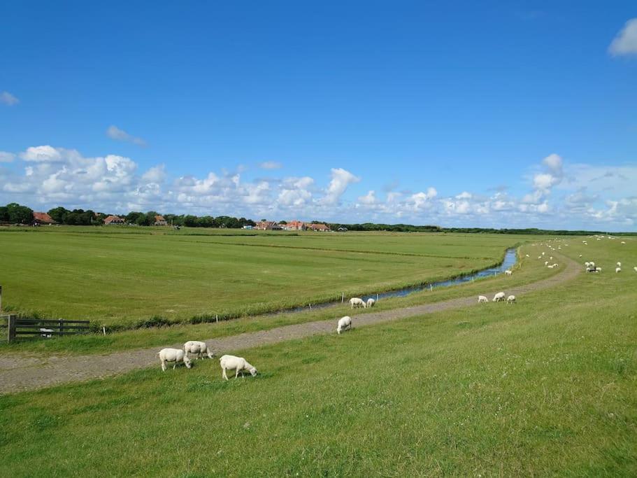 De Oostkamer; Eiland Appartement Naast Natuurgebied Boschplaat 奥斯特仁德 外观 照片