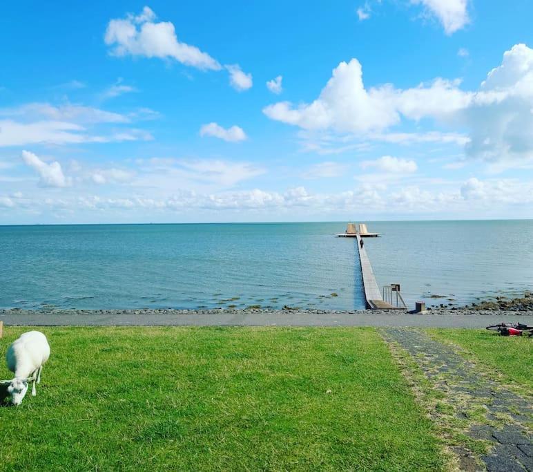 De Oostkamer; Eiland Appartement Naast Natuurgebied Boschplaat 奥斯特仁德 外观 照片